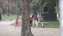 Pentiti di essere genitori