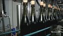 Dal rubinetto sgorga il Lambrusco