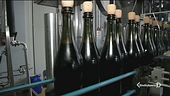 Dal rubinetto sgorga il Lambrusco