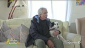 Grandi amicizie a quattro zampe