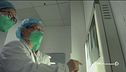 Coronavirus: "è pandemia"