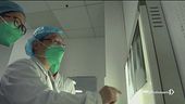 Coronavirus: "è pandemia"
