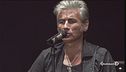 Buon Compleanno Ligabue!