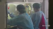 Solidarietà per i medici