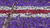L'inno della Fiorentina