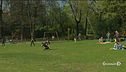 Ancora troppe follie