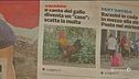 Il gallo canta? Multato il padrone