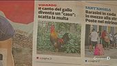 Il gallo canta? Multato il padrone