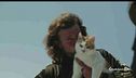 E' la giornata mondiale del gatto