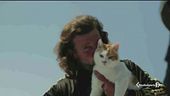 E' la giornata mondiale del gatto