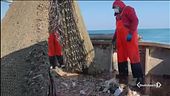 Proteste per il fermo pesca