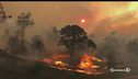 Il fuoco devasta la California