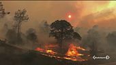 Il fuoco devasta la California
