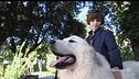 Oggi è il dog day