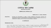 Capri, stop ai "petulanti"