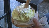Oggi è la giornata del gelato
