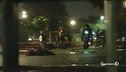 Roma, 7 cinghiali uccisi nel parco