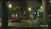 Roma, 7 cinghiali uccisi nel parco