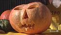 Feste vietate, Halloween fa paura