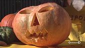 Feste vietate, Halloween fa paura