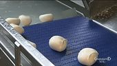 La mozzarella pugliese