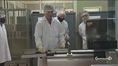 Vaccini, Londra parte prima