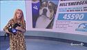 Aiuta gli animali nell'emergenza