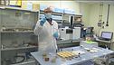 Lo studio dei materiali del futuro