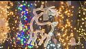 Natale, boom di addobbi per la casa