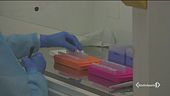 Virus mutato, un caso nelle Marche