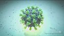 Virus muta, 8 ceppi in Veneto