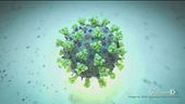 Virus muta, 8 ceppi in Veneto