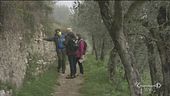 Sulle orme di San Francesco