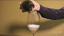 Il re delle bollicine: lo champagne