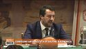 Antirazzismo salviniano