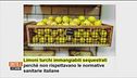 Mamma, li limoni turchi!