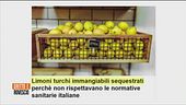 Mamma, li limoni turchi!