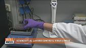 Coronavirus: il lavoro degli scienziati
