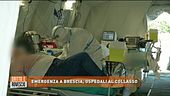 Emergenza a Brescia, ospedali al collasso