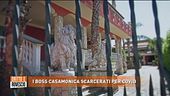I boss Casamonica scarcerati per Covid