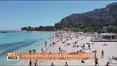 L'estate delle regole, quanto ci costa?