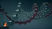 La prova del DNA