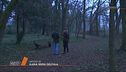 Il giallo di Samira: un passato ricco di segreti