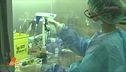 Le mutazioni del Coronavirus