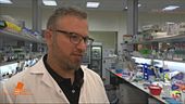 Gli scienziati israeliani sono vicini allo sviluppo di un vaccino per il Coronavirus