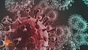 I farmaci contro il Coronavirus