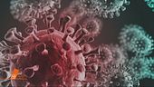 I farmaci contro il Coronavirus