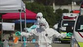Covid-19: Il modello Corea