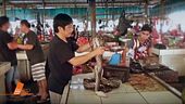 Covid-19: il mercato degli animali