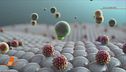 Coronavirus, isolata una variante più debole